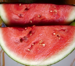 Watermelon slices