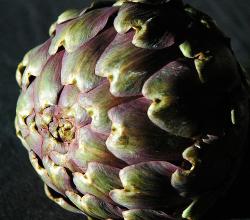Artichoke