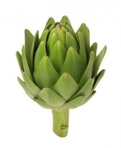 artichoke 246x300