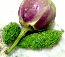 Eggplant with bitter gourd
