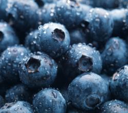Blueberries