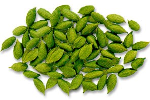Fresh Cardamom