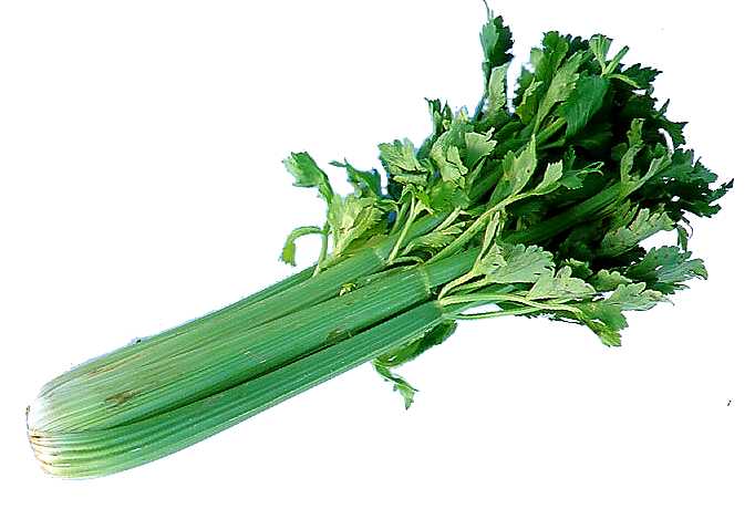 Why Men Should Eat More Celery