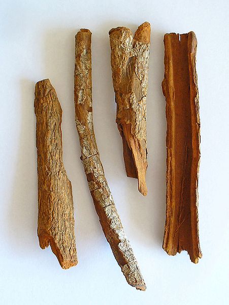 Cinchona bark