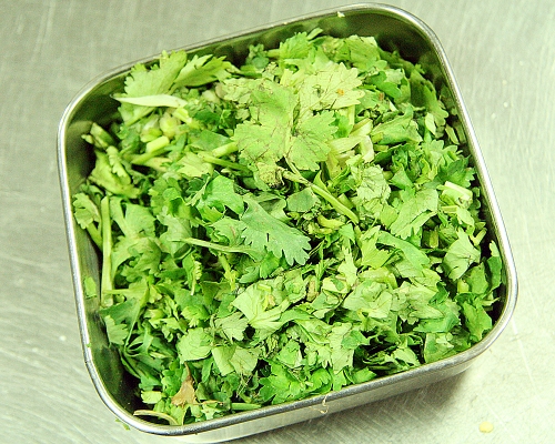 Cilantro