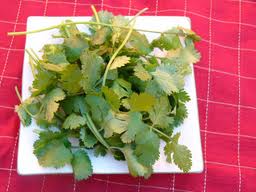 Cilantro Medicinal Uses -- Cilantro Leaves