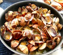 Clams - A Sustainable Seafoood Clams - A Sustainable Seafoood