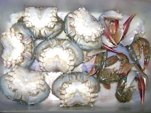 Crab Allergy 