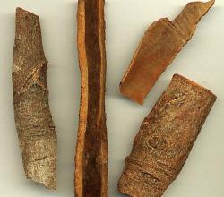 Spice bark