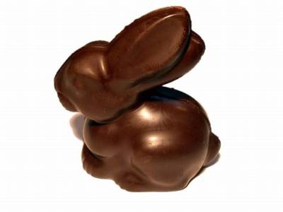 Chocolate Bunny