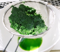 Storing Parsley