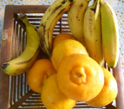 Fresh fruits