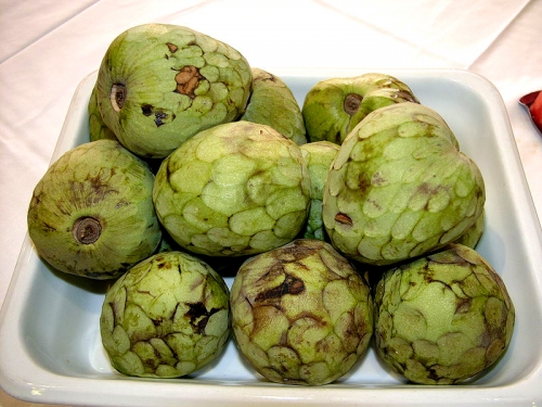 cherimoya 