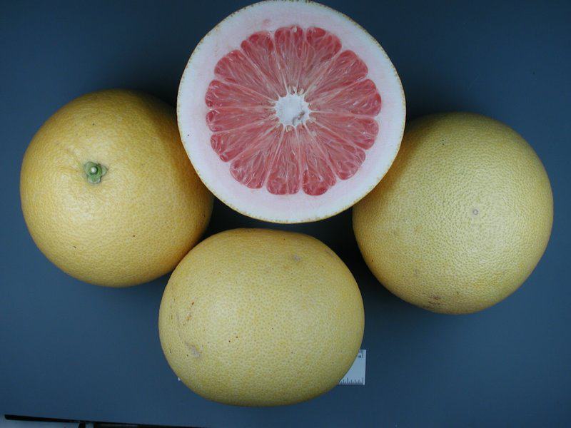 Pummelo- pulp and the rind