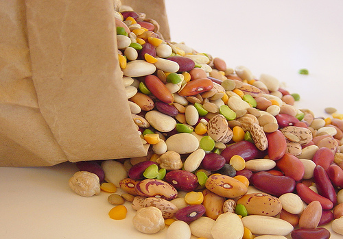 Protein-rich diet