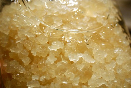 Water kefir has immense health benefits