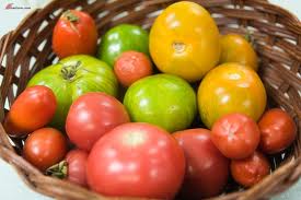 Tomatoes