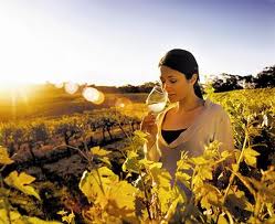 wine
