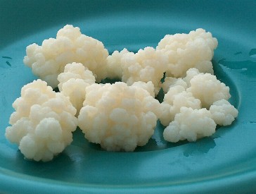Kefir Yogurt For Babies