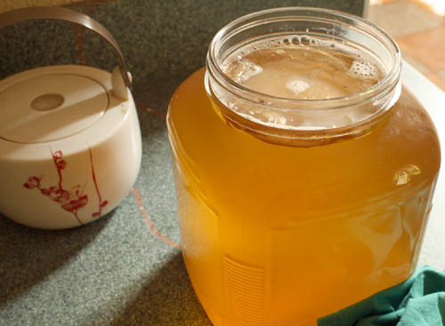 kombucha tea