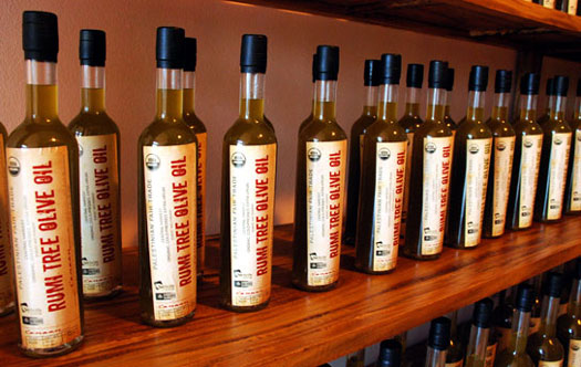 Olive Oils