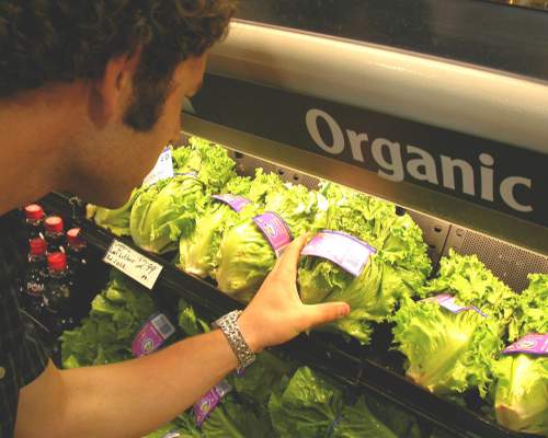Healthy organic foods