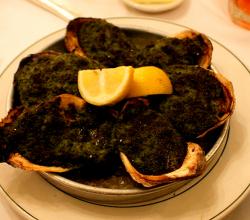 Oyster