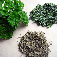 Storing Parsley