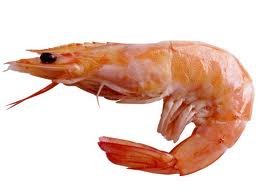 Prawns — How To Cook Frozen Prawns