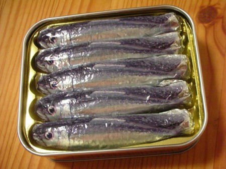 sardine1.jpg
