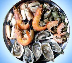 shellfish