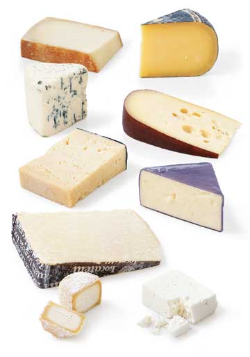soft cheese varieties