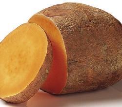 Sweet potato