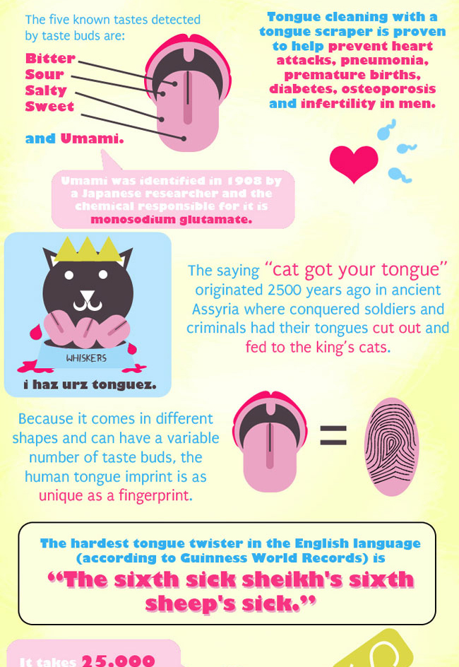Tongue Infographic Part 2