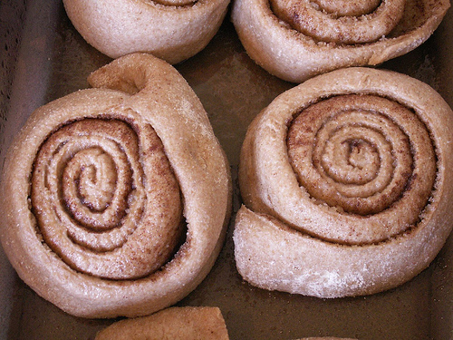 whole wheat rolls