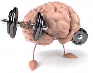 Healthy Brain