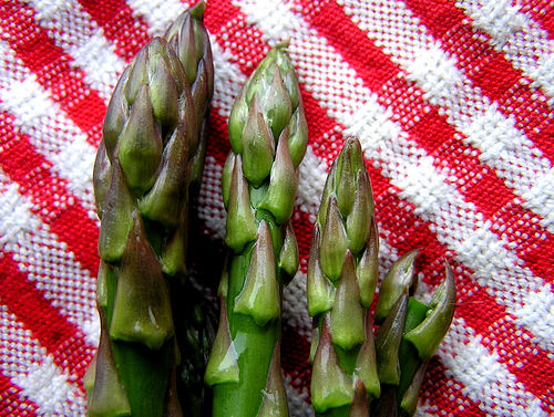 asparagus tip