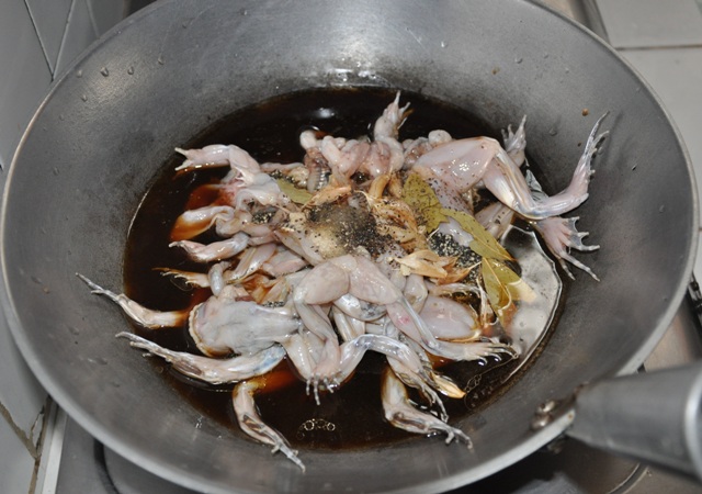 Amphibians like frogs and crocs are Haram and forbidden from Islamic diets