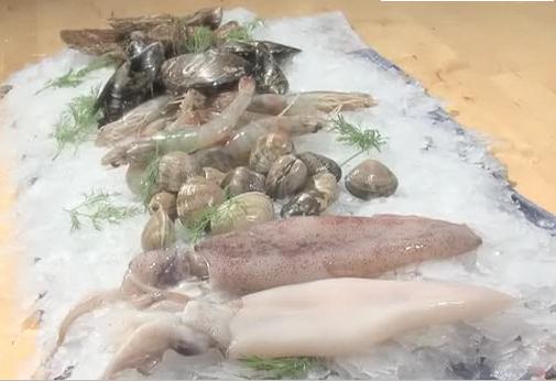 A spread of fresh shellfish, which includes squid, clams, oysters, prawns, and mussels