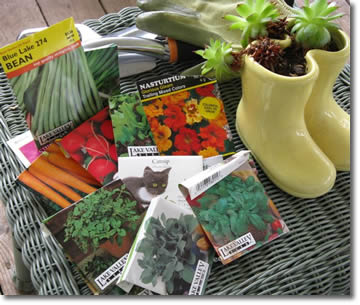 Garden Seeds on Preserving Garden Vegetable Seeds For A Good Harvest Round The Year