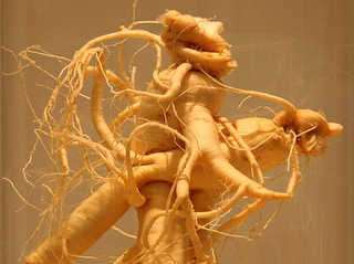 Ginseng is a natural supplement