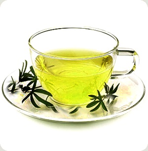 Green Tea is rich in antioxidants and helps burn fat faster