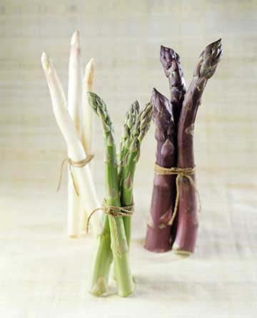 History of Asparagus as food - A rich heritage