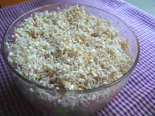 how to use sprouted grains and choose health- for the better