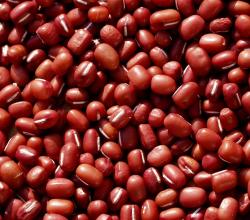 Beans
