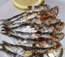 Fish
