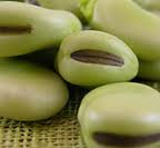 Koukia or Greek Fava beans is widely used in Greek cooking