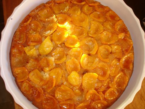 Loquat pie