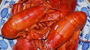Lobster 4