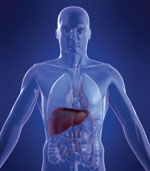 Healthy lungs